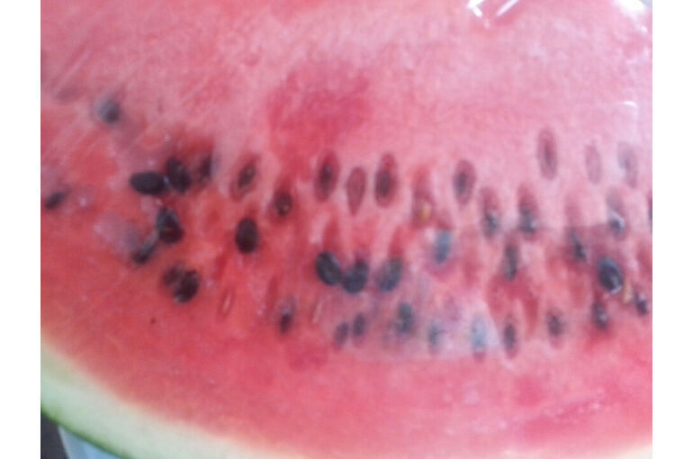 食べるの大好き